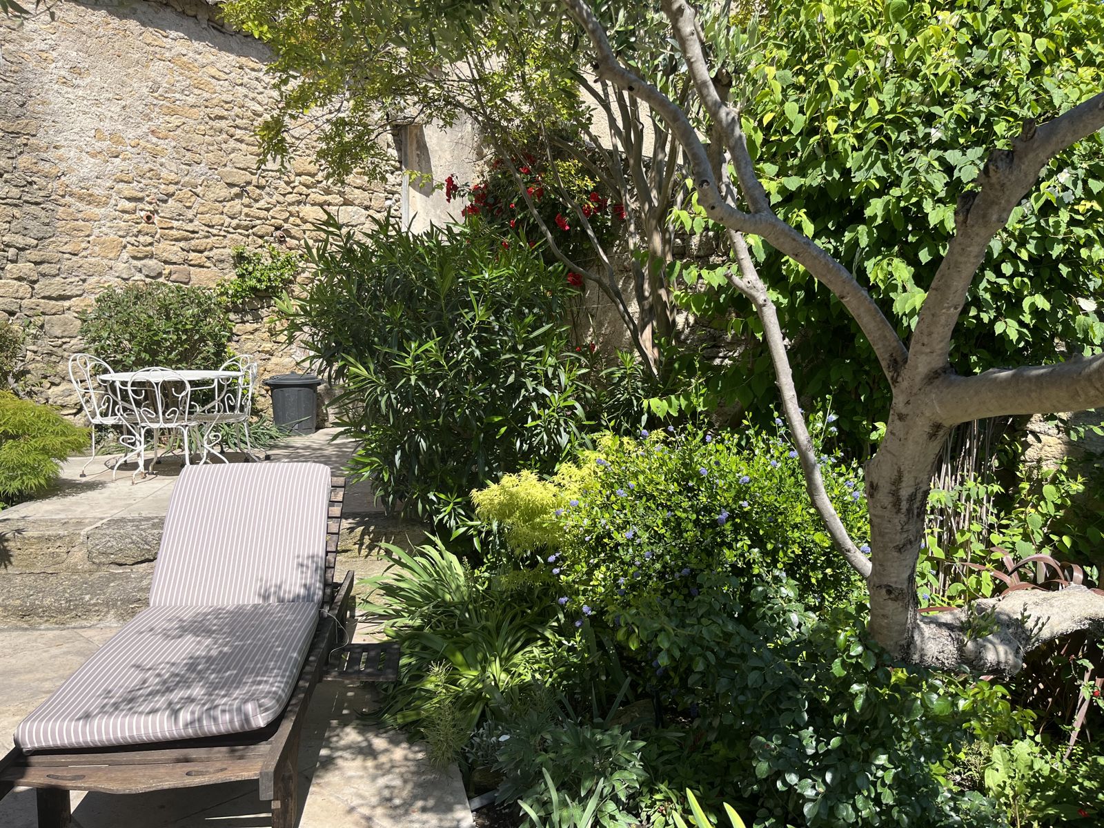 Un transat à l’ombre de l’olivier, dans le jardin